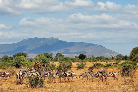 2-Day Tsavo East & Salt Lick Safari–Red Elephants & Treetop
