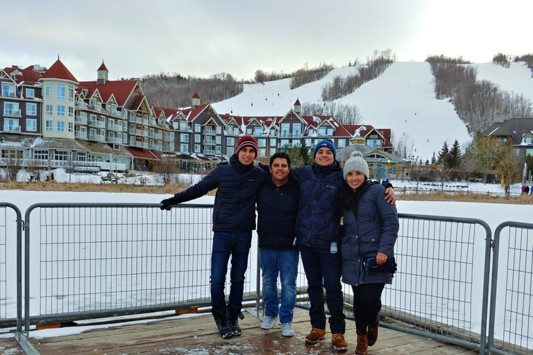 Toronto: prywatna wycieczka 1-dniowa do wioski w Górach Błękitnych