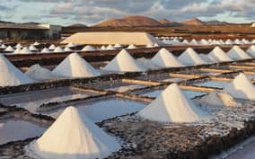  - Canarie.it