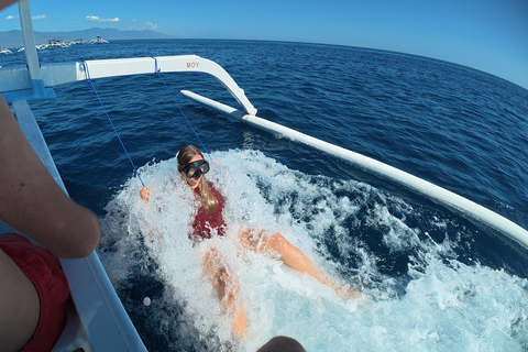 Lovina: Dolphin Observe & Snorkeling with Optional GoPro Sharing Dolphin Tour With GoPro, Transfer Hotel North Area