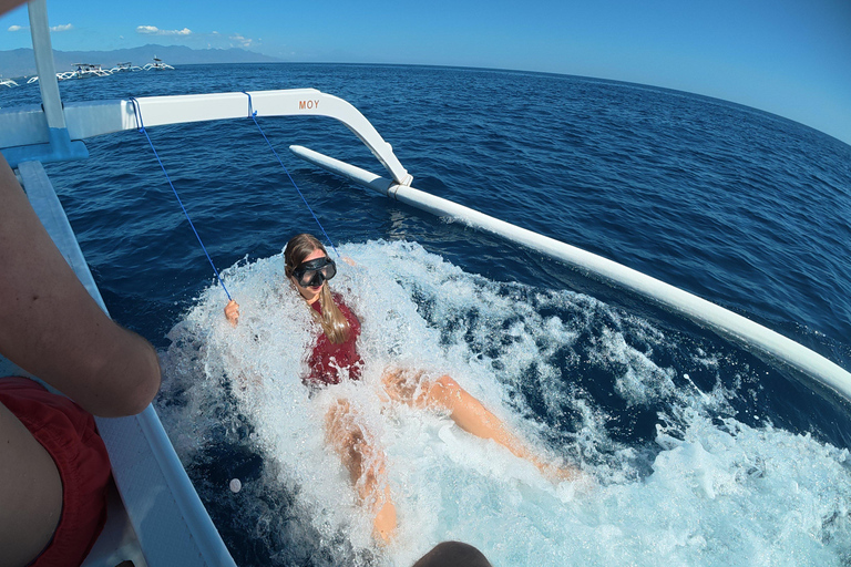 Lovina: Dolphin Observe & Snorkeling with Optional GoPro Sharing Dolphin Tour With GoPro, Transfer Hotel North Area