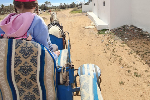 Djerba: Sunset Carriage Ride to Flamingo Island Djerba: Sunset Carriage Ride to Pink Flamingo Island