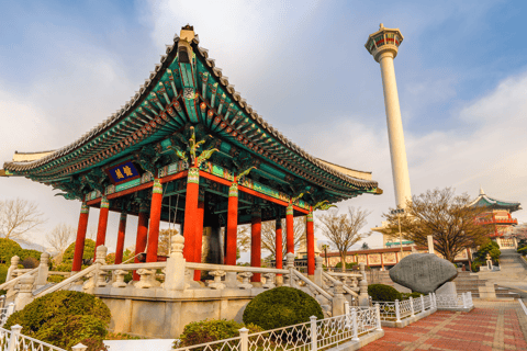 Per i passeggeri delle crociere al porto di Busan : Tour essenziale di Busan