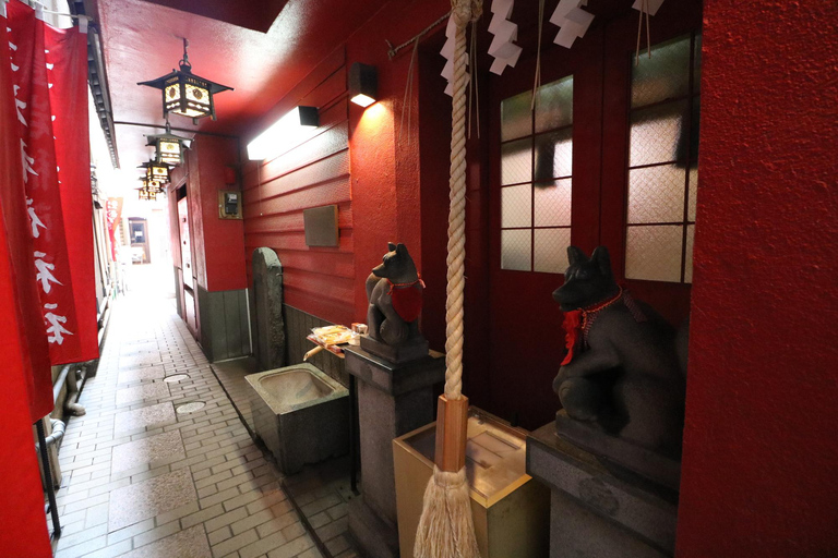 Tokyo : Visite à pied des ruelles profondes de Ginza