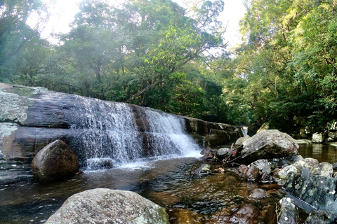 From Kandy: 3-Day Knuckles Mountain Range Trek with Camping