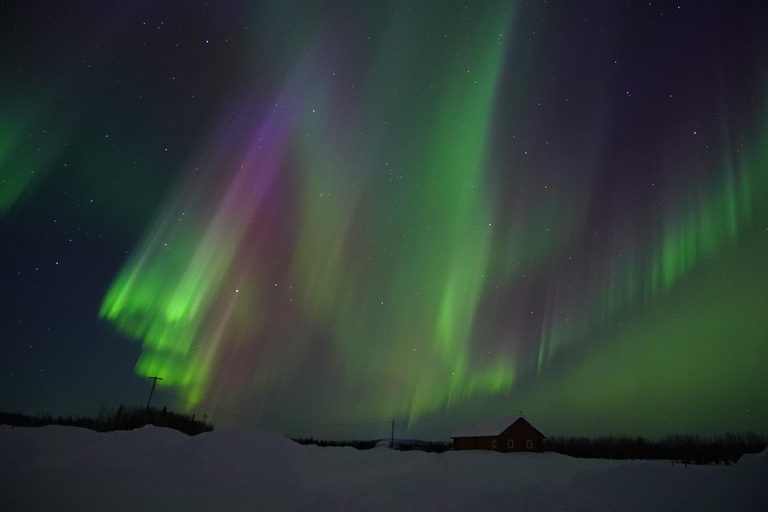 Fairbanks: Aurora Borealis Night Sky Tour & Photography