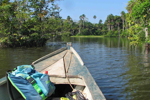 Tambopata turné: 3D/2N Amazonas-äventyr