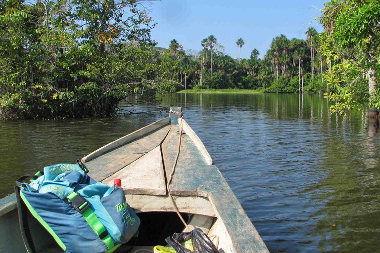 Tambopata turné: 3D/2N Amazonas-äventyr