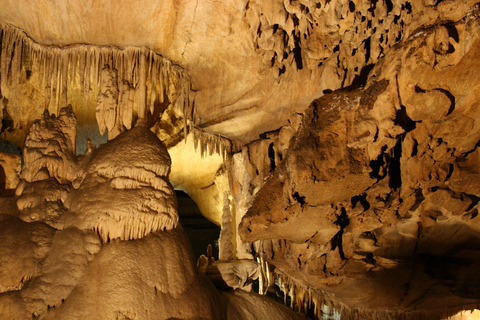 Sequoia National Park & Crystal Cave Tour from San Francisco