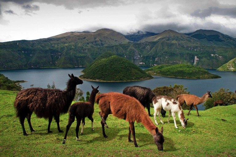 Quito: Otavalo, Cotacachi & Cuicocha Private Day Tour