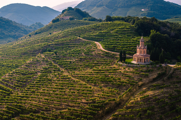 Z Wenecji: Dolomity i wzgórza Prosecco - jednodniowa wycieczka z winem