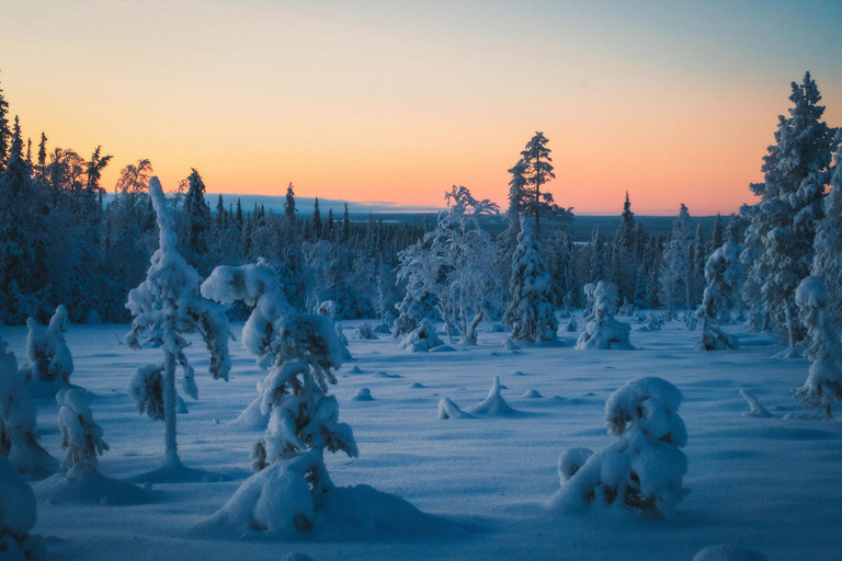 Saariselkä: CAMINHADA GUIADA COM RAQUETES DE NEVE NA FLORESTASaariselkä: CAMINHADA GUIADA NA FLORESTA COM RAQUETES DE NEVE