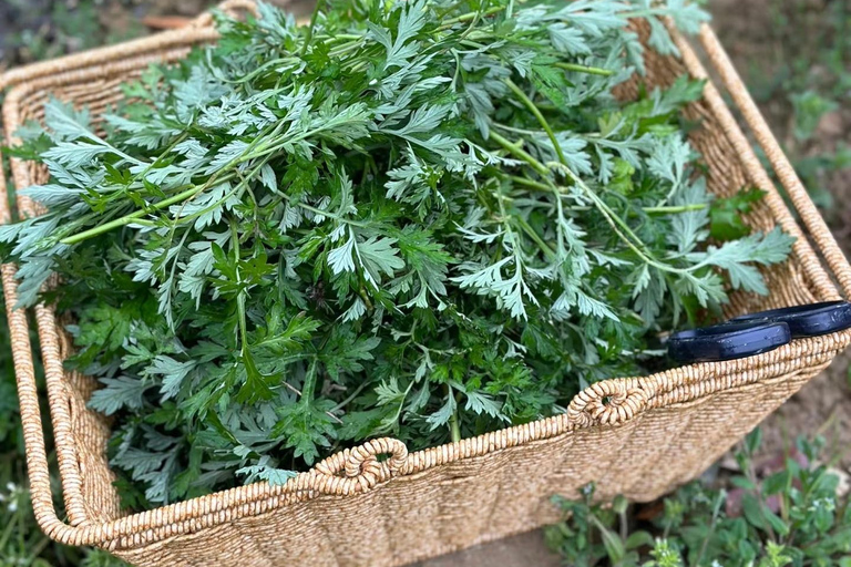 Rural Guilin Tour: Mugwort Rice Ball from Farm to Table Guide for other languages