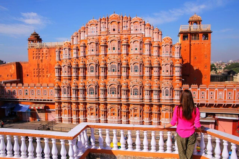 Visita de medio día a Jaipur Fuerte Amer, Jal Mahal y Stepwell