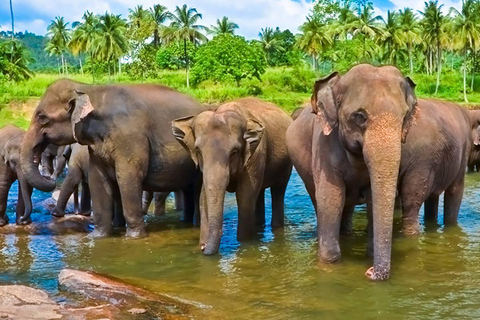 Sri Lanka 4 Days Economy Tour