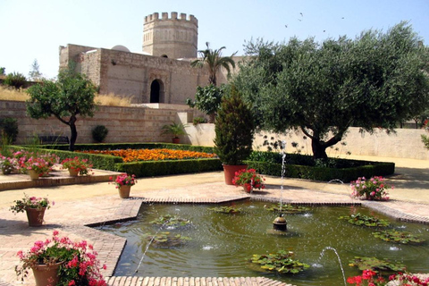 Jerez: City Guided Tour and the Alcazar