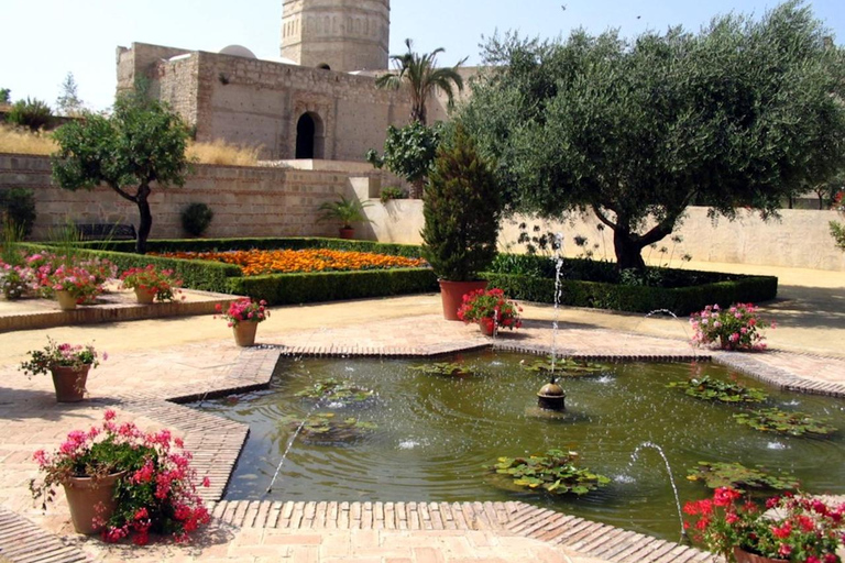 Jerez : visite guidée de la ville et de l&#039;Alcazar