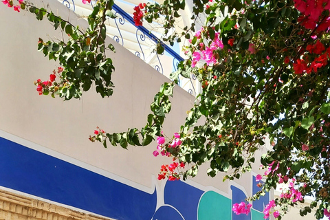 Full-Day Guided Djerba Island Tour & Crocodile Park + Lunch