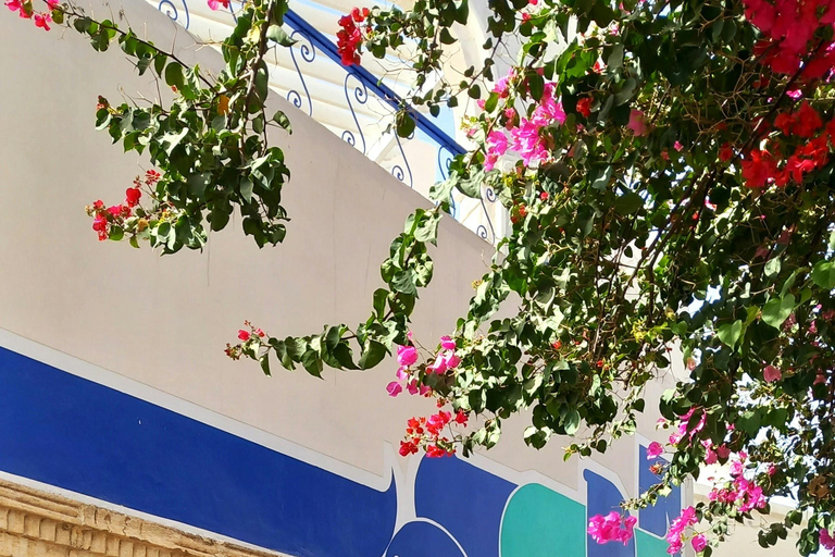 Full-Day Guided Djerba Island Tour & Crocodile Park + Lunch