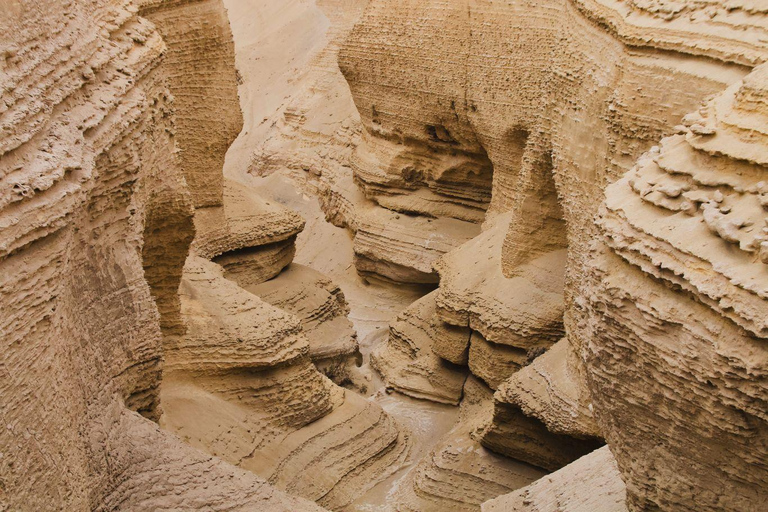 Da Ica || Escursione di un&#039;intera giornata al Canyon di Los Perdidos ||