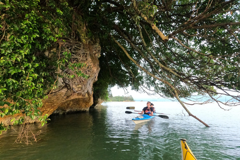Okinawa: Private Kayak Mangrove or Reef with Native EnglishOkinawa: Private Kayak Tour with English-Speaking Guide