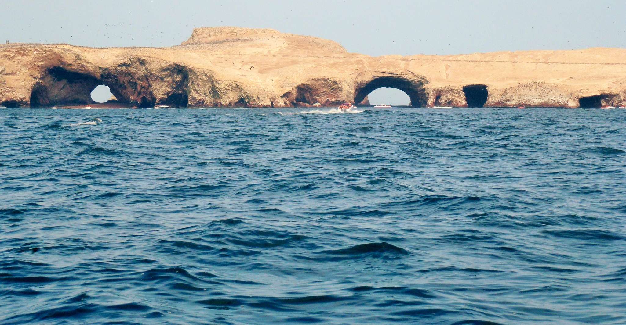 Ballestas Islands & Paracas National Reserve Day Trip - Housity