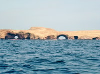 Ballestas Islands & Paracas National Reserve Day Trip - Housity