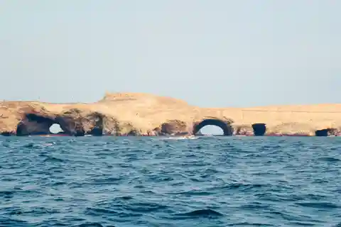 Desde Paracas || Excursión a las Islas Ballestas ||3 horas