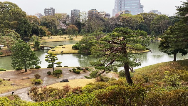 Sugamo: Exploring Grandma's Harajuku and Rikugien Garden