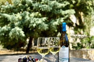 Thessaloniki: Private Sithonia Olive, Wine & Beach Day Trip