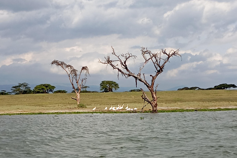 Tagestour zum Lake Elementaita &amp; Lake Naivasha ab Nairobi