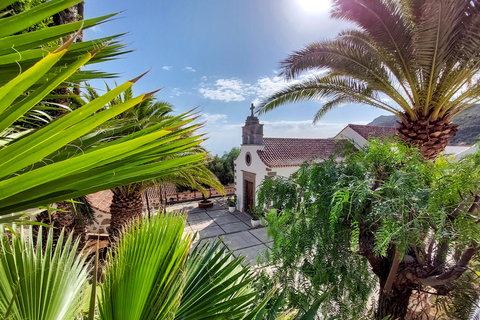 Gran Canaria Grot, Oase, Rode Kloof Avontuur &amp; Gezellige PicknickGran Canaria Ontdekkingsreis met Tapas Picknick