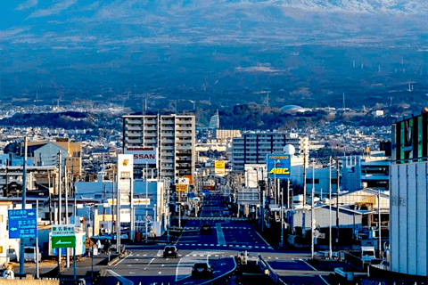 2 Dagen Tokio, Mount Fuji Reis Privé Rondleiding