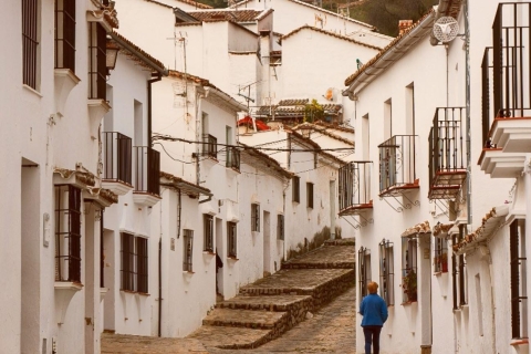 Depuis Séville : Excursion privée à Ronda