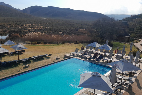 Cape Town Aquilla big sunset safari With transport & food aquila sunset bestseller