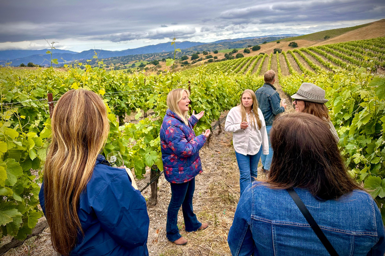 Santa Barbara: Small-Group Wine Tour to Private Locations Wine Tour on Friday and Sunday