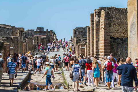 Rondleiding van 2 uur in PompeiiPrivé rondleiding