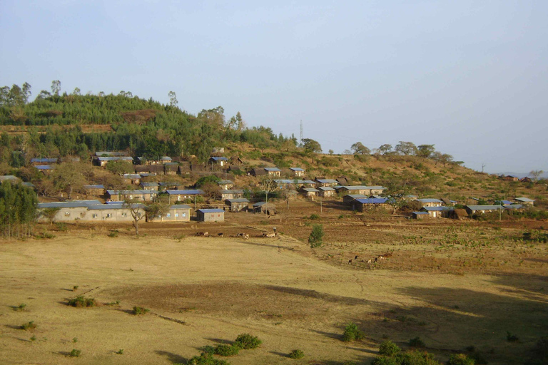 Bahir Dar: 3-Day Northern Ethiopia Cultural & Scenic Tour