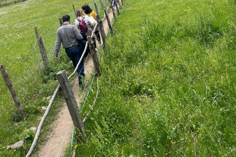Day Tour Theth : Thethi National Park - Blue Eye - Waterfall