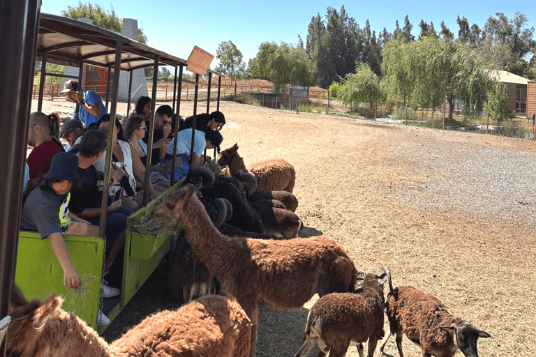 Santiago: Safari Rancagua Tour