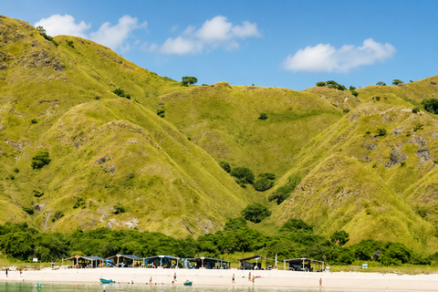 Labuan Bajo: 3-Day Komodo Sailing Ocean View Cabin All Fees Standard Boat | Sharing Room Ocean View | Tiket not Included