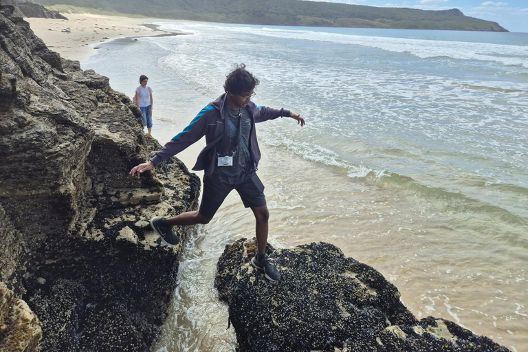 Hobart: 2 Day Bruny Island Escape & Port Arthur with Devils