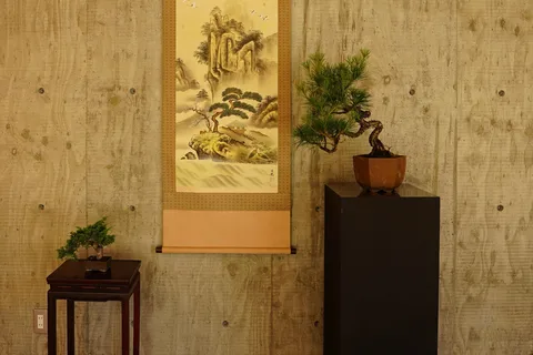 Hiroshima : expérience personnalisée de bonsaï et wabi-sabi
