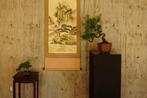 Hiroshima: Bonsai personalizzato ed esperienza Wabi-Sabi