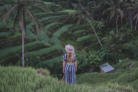 Ubud: Monkey Forest, Rice Terrace, Waterfall Private Tour Private Tour Without Entry Tickets