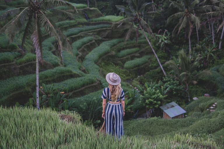 Ubud: Monkey Forest, Rice Terrace, Waterfall Private Tour Private Tour Without Entry Tickets