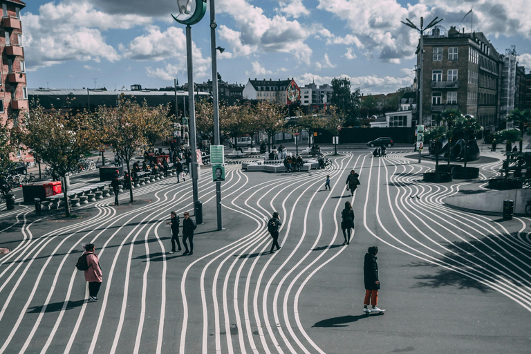 Copenhagen: Private Walking Tour with Amalienborg Palace