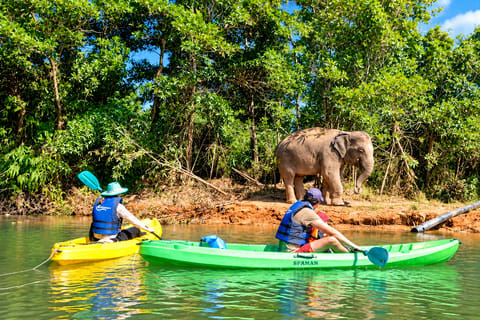 Phuket: Kayak to See Elephants at an Ethical Sanctuary