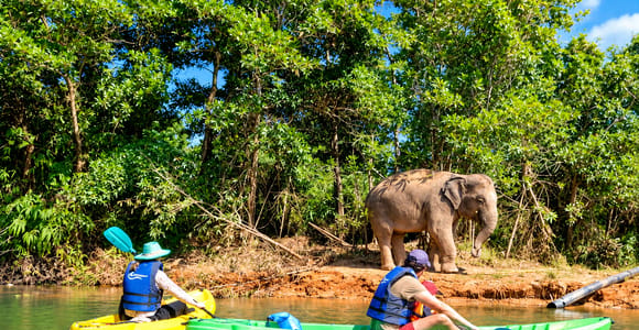 Phuket: Kayak to See Elephants at an Ethical Sanctuary