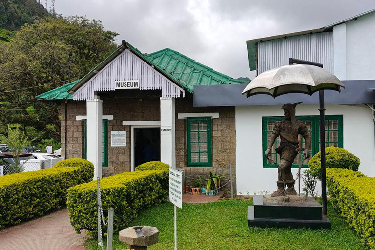 Cochin - Munnar Day Trip with Waterfalls and Tea Museum